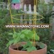 Tomato and Plant Support Cage-tomato trellis