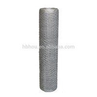 Galvanized Poultry Netting hexagonal wire netting mesh chicken netting