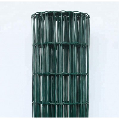 Euro Fence /Welded Plastic Coated Wire Fence