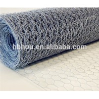 Galvanized chicken hexagonal wire mesh, Hexagonal wire netting